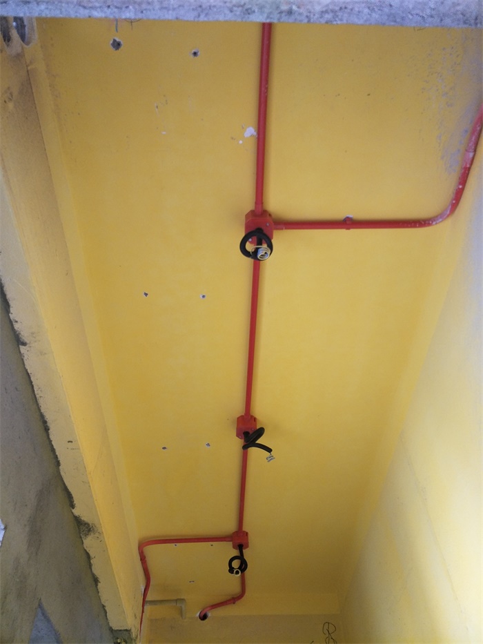 IMG20190520090227.jpg