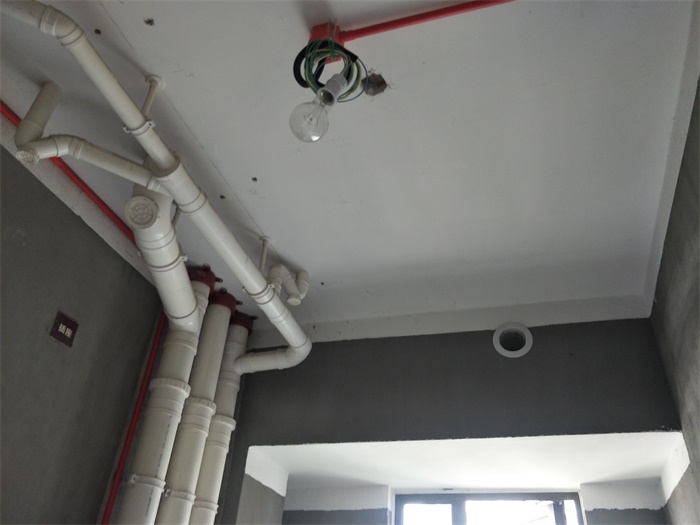 IMG20190520090304.jpg