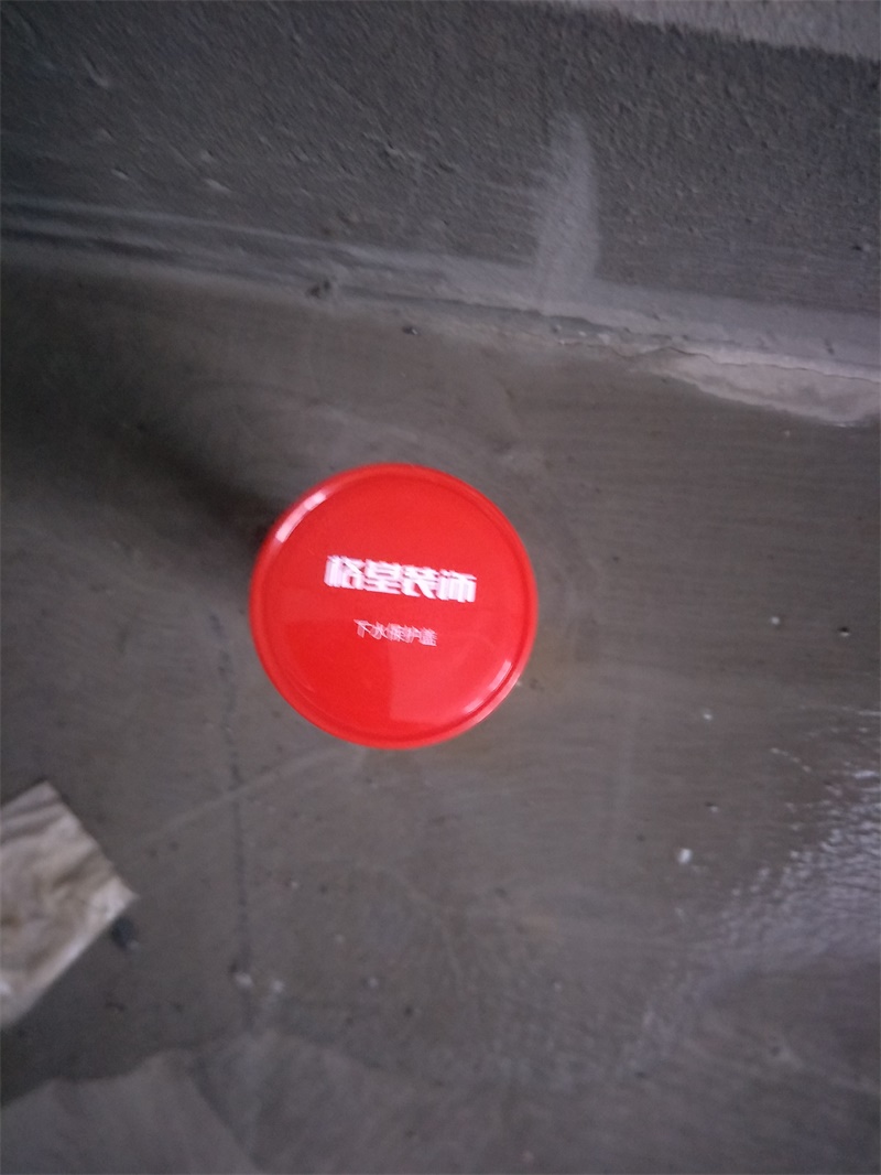 IMG20190608090204.jpg