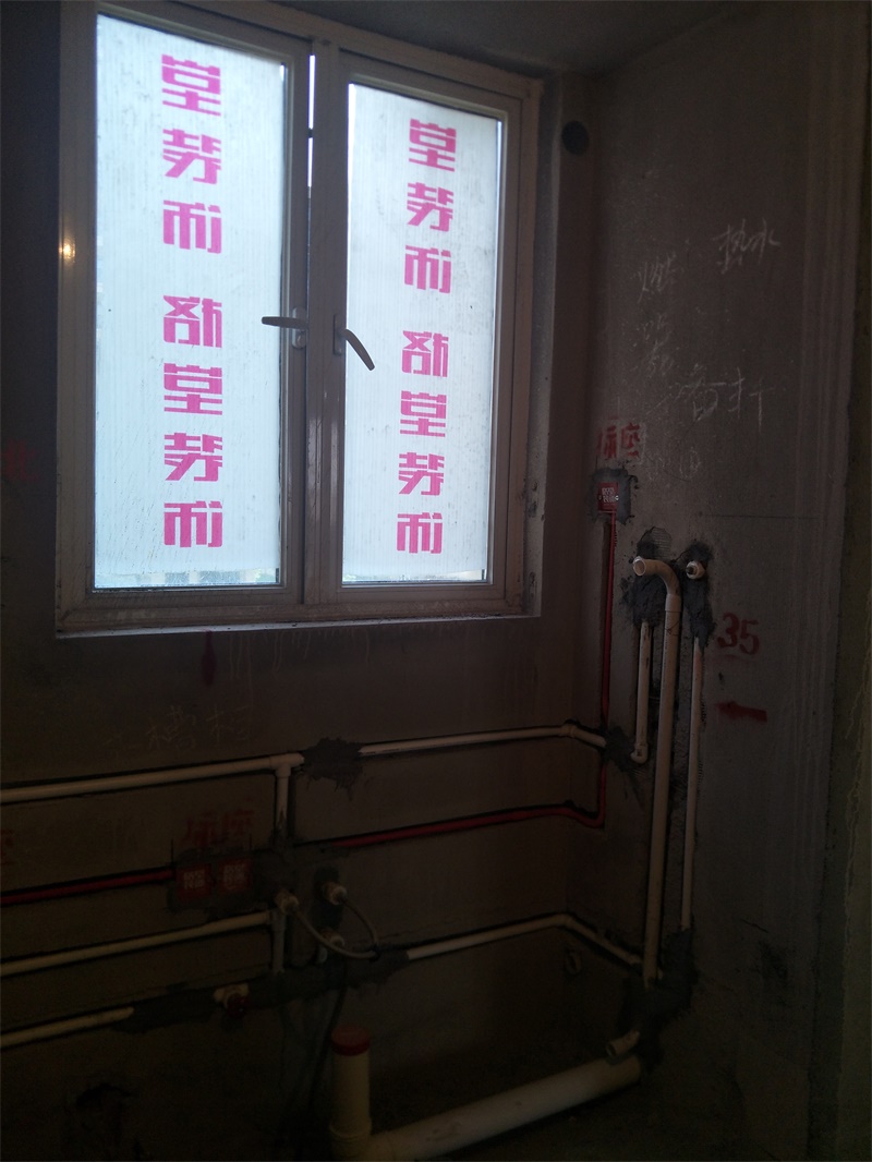 IMG20190615083303.jpg