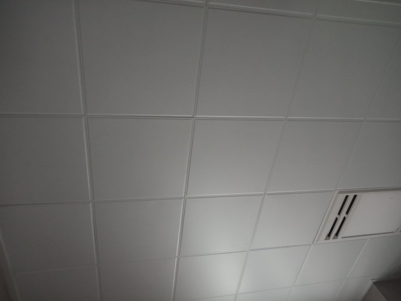 IMG20190614094206.jpg