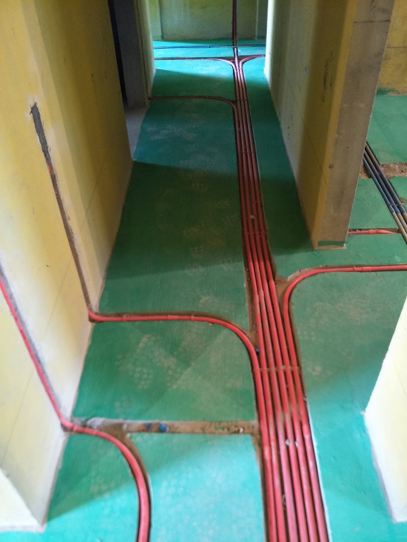 IMG20190528135535.jpg