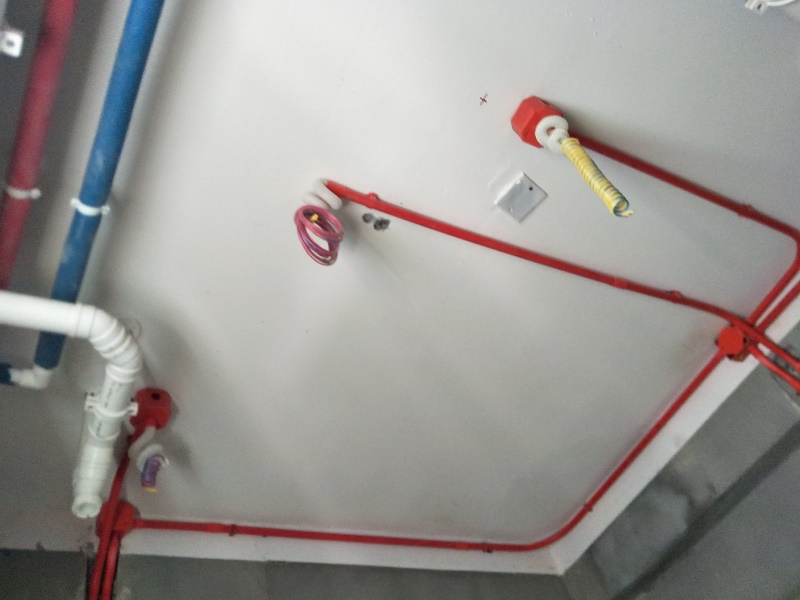 IMG20190528140246.jpg