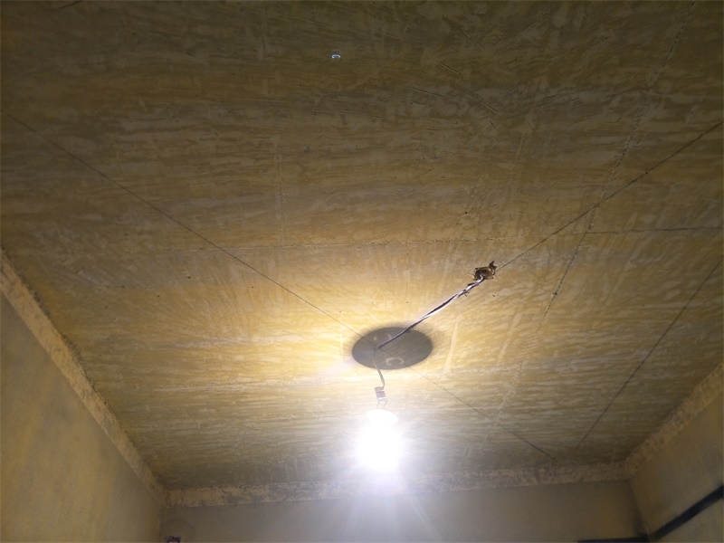 IMG20190615083530.jpg