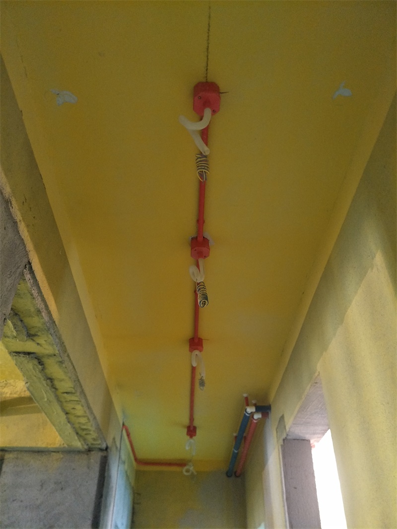 IMG20190615083709.jpg