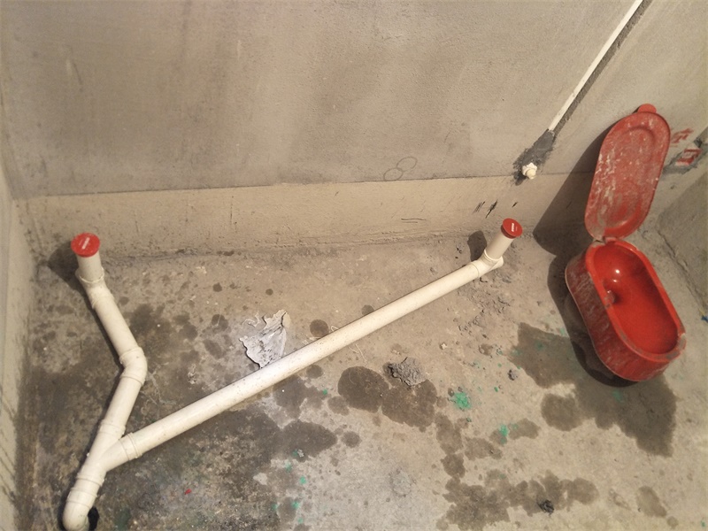 IMG20190615084356.jpg