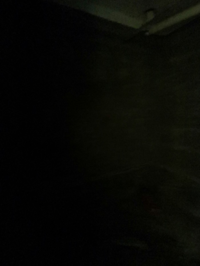 IMG_20190614_112454.jpg