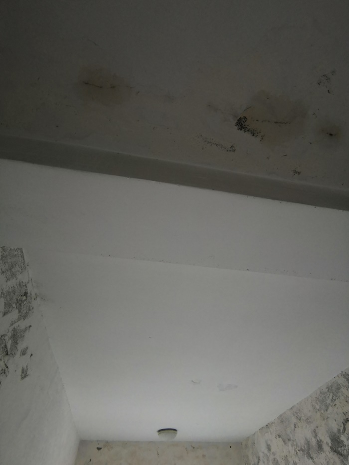 IMG_20190614_100314.jpg