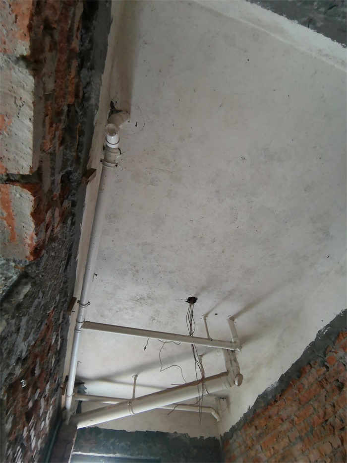 IMG_20190614_101314.jpg