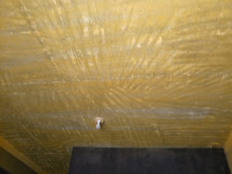 IMG20190618102444.jpg
