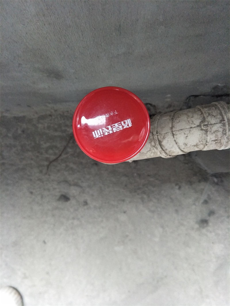 IMG20190618091001.jpg