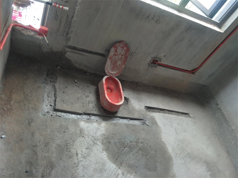 IMG20190617083050.jpg