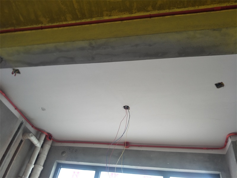IMG20190617083019.jpg
