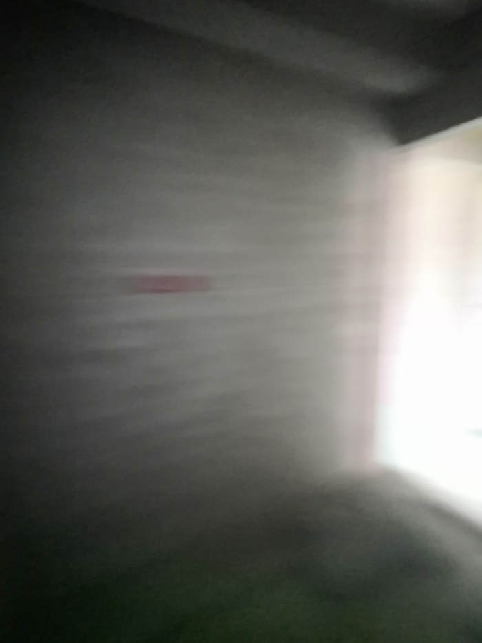IMG_20190618_110052.jpg