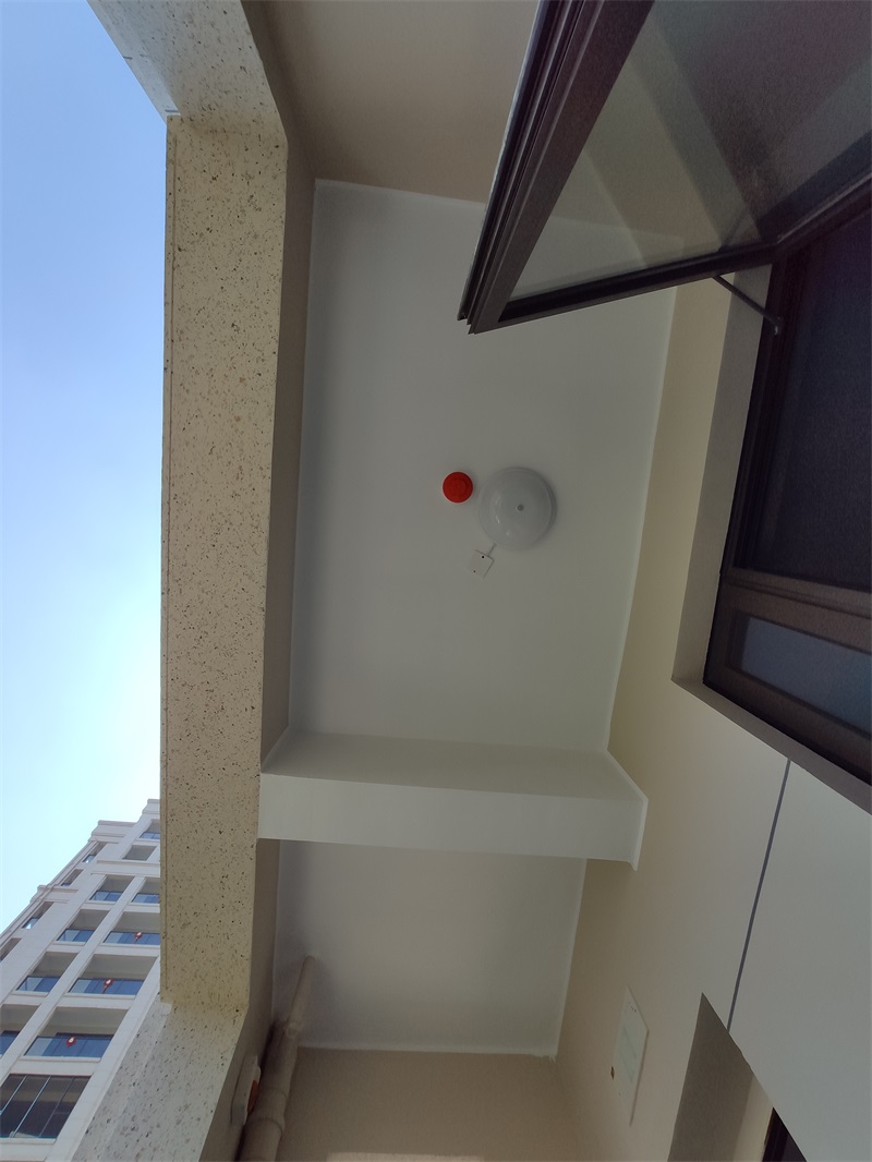 IMG_20190615_101341.jpg
