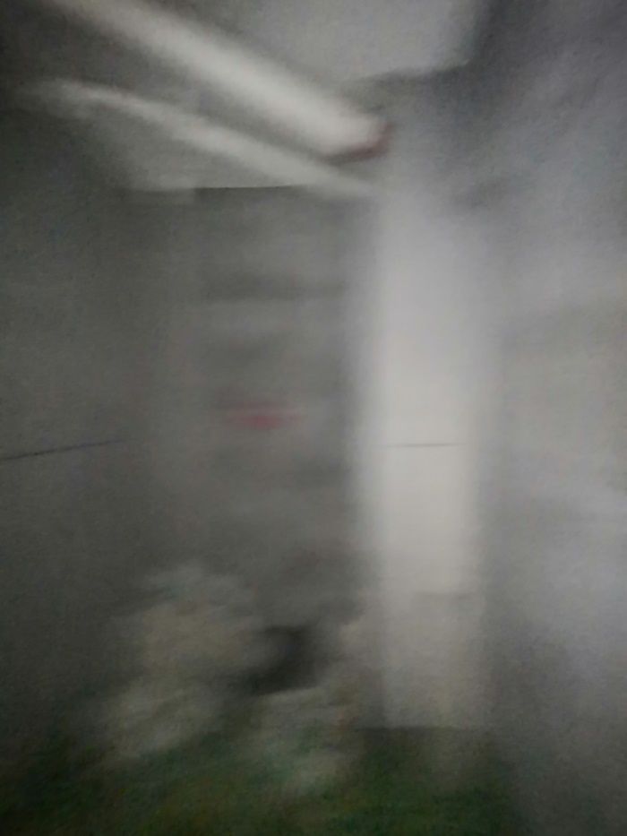 IMG_20190618_110114.jpg