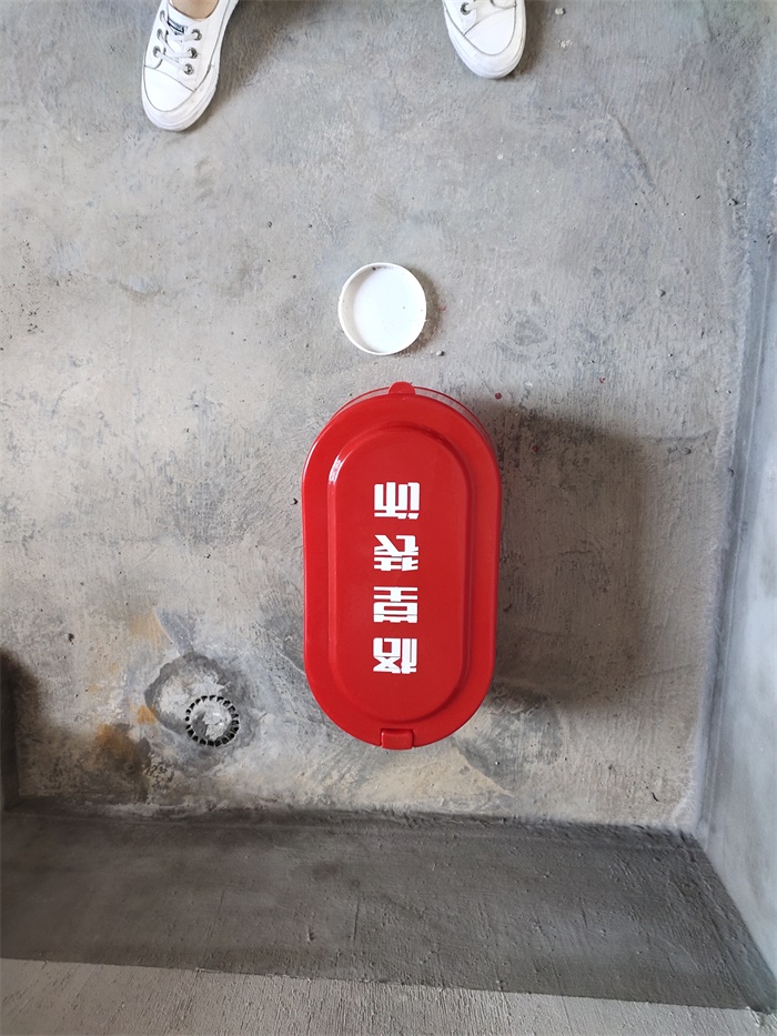 IMG_20190615_082319.jpg