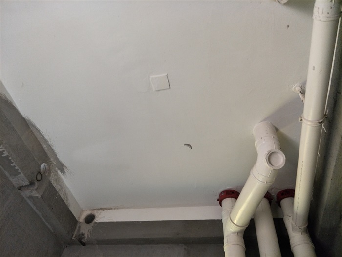 IMG20190506094751_1.jpg