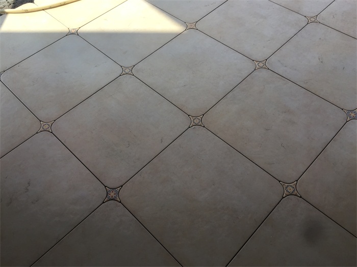IMG_6795.JPG