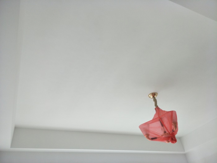 IMG20190430103650.jpg