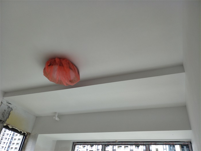 IMG20190430104802.jpg