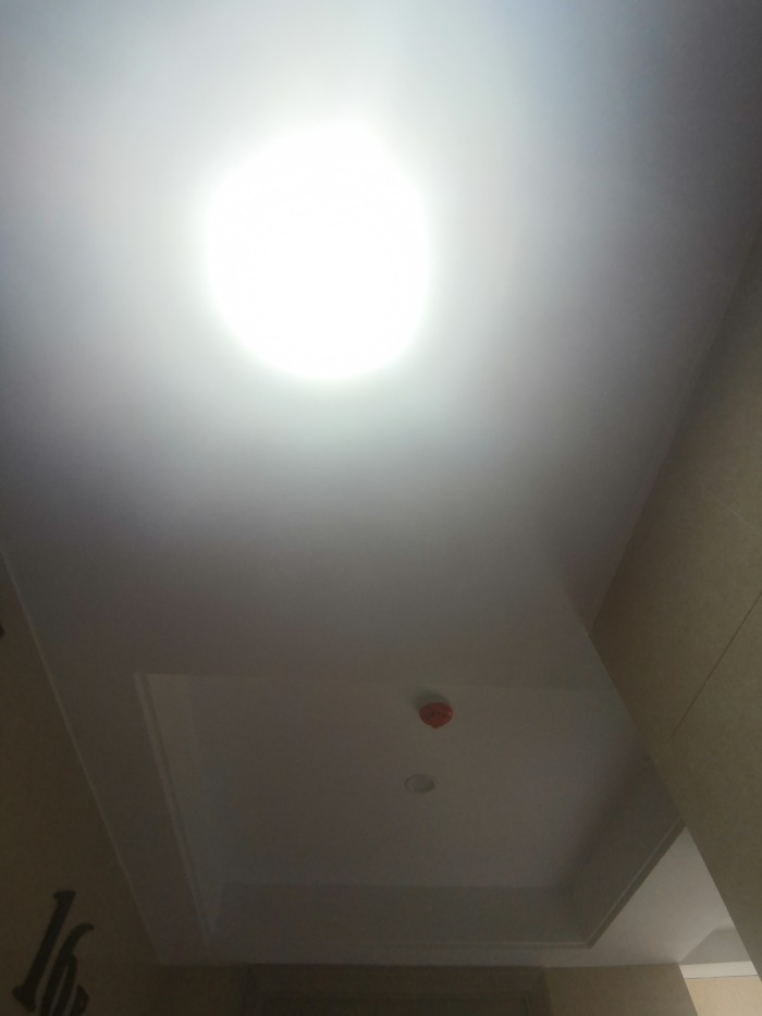 IMG_20190622_085657.jpg