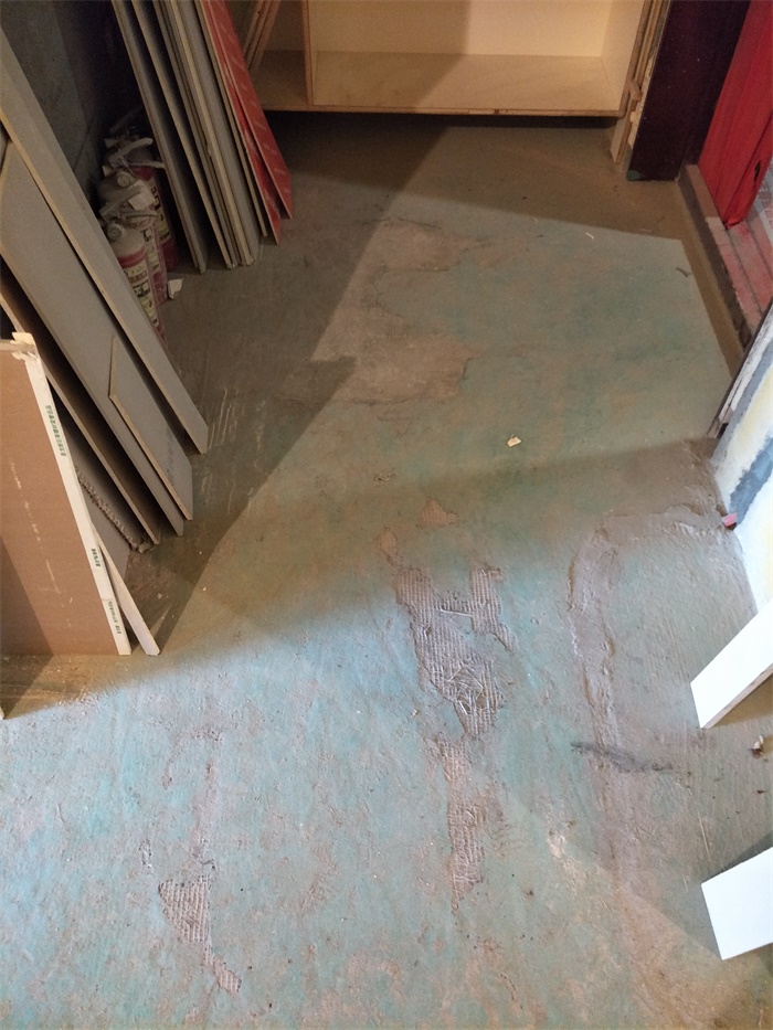 IMG20190430145655.jpg