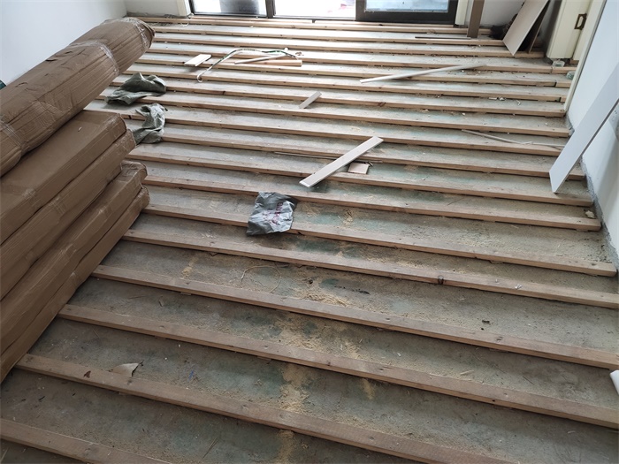 IMG_20190617_101303.jpg