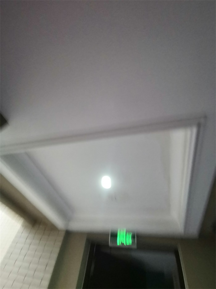IMG_20190625_085451.jpg