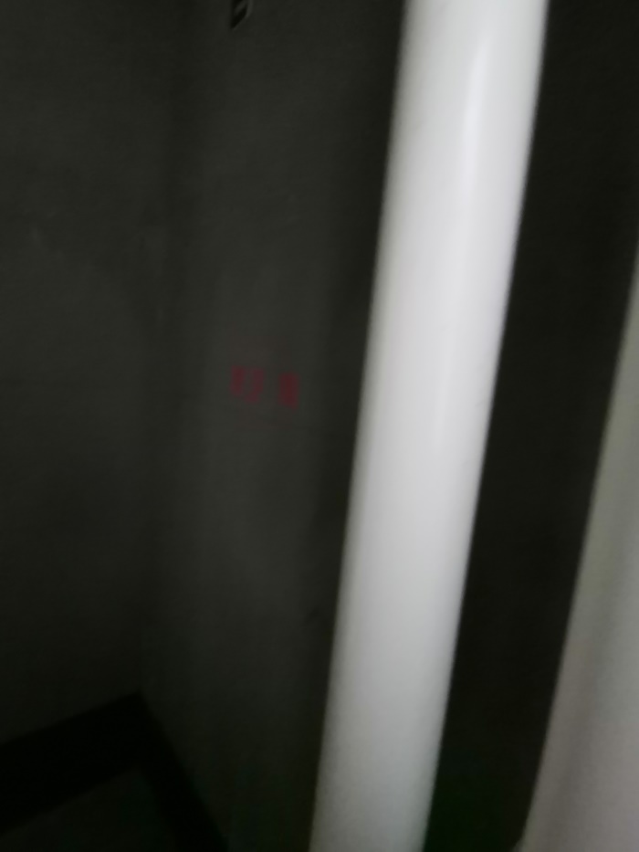 IMG_20190526_114634.jpg