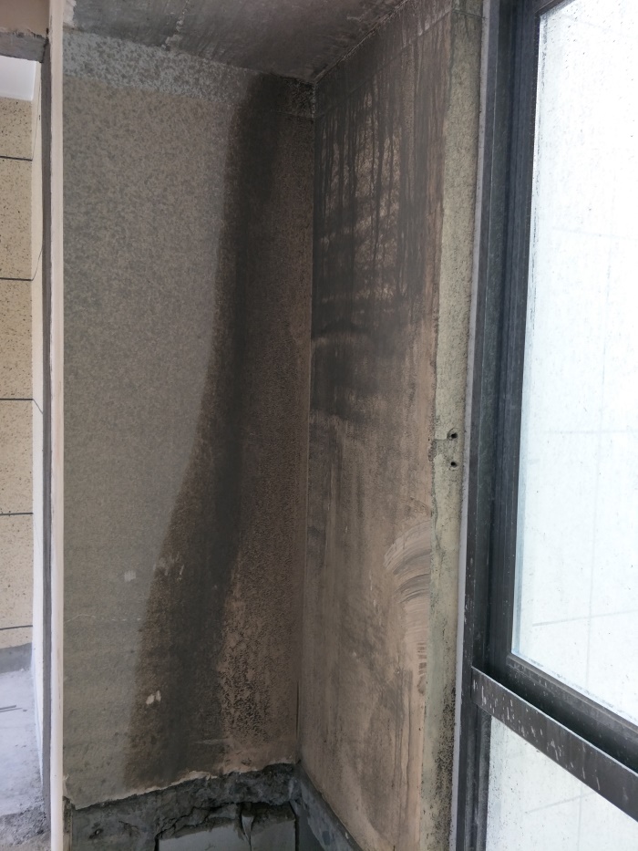 IMG20190509105402.jpg
