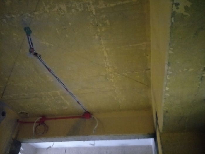 IMG20190515172240.jpg