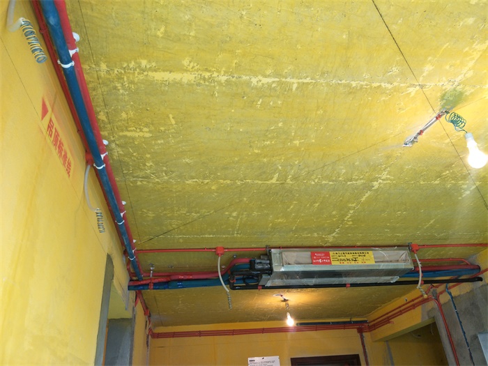 IMG20190520091848.jpg