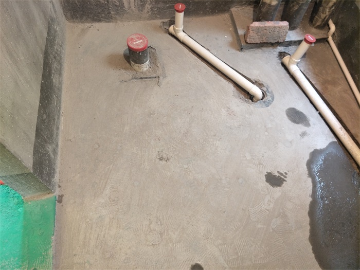 IMG20190520092714.jpg