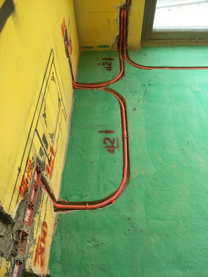 IMG20190520093128_1.jpg