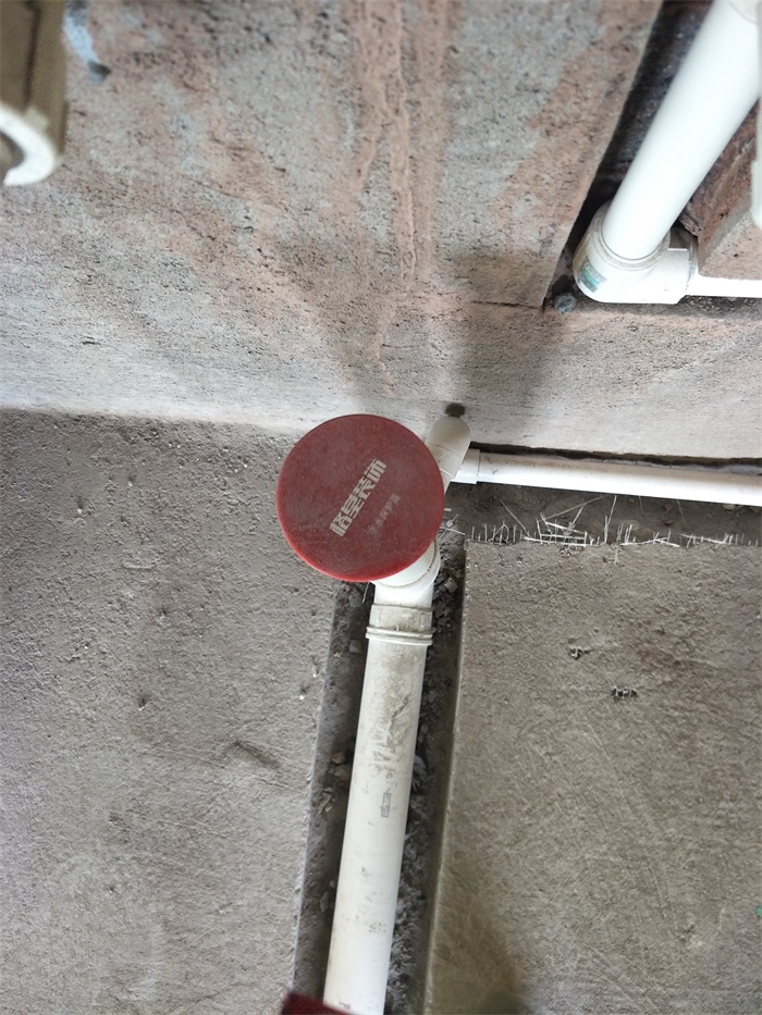 IMG20190520093312.jpg