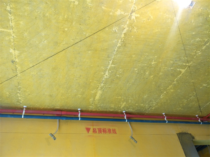 IMG20190520093524.jpg