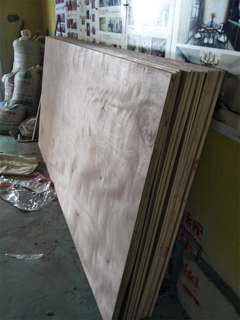 IMG20190625111650.jpg