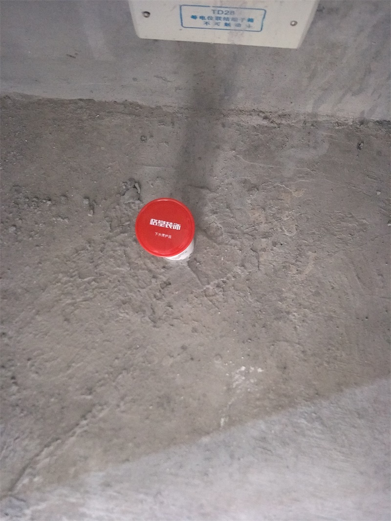 IMG20190624090546.jpg