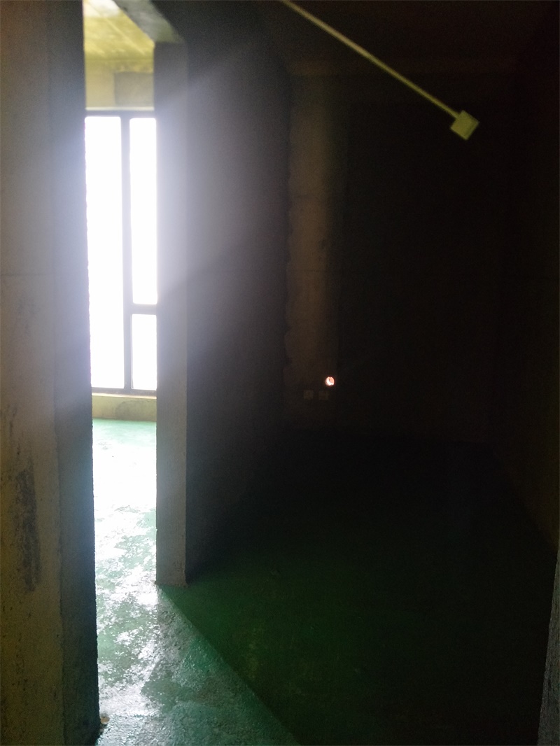 IMG20190626095632.jpg