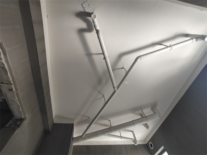 IMG_20190702_110813.jpg