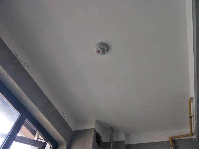 IMG20190507095545.jpg
