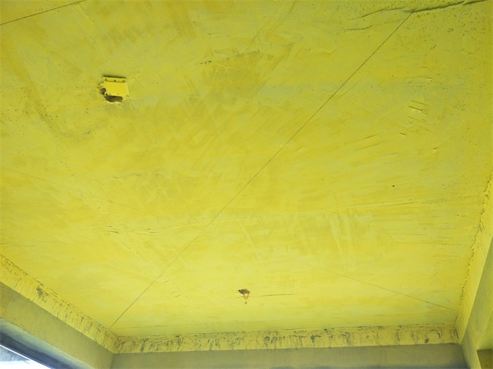 IMG20190507095615.jpg