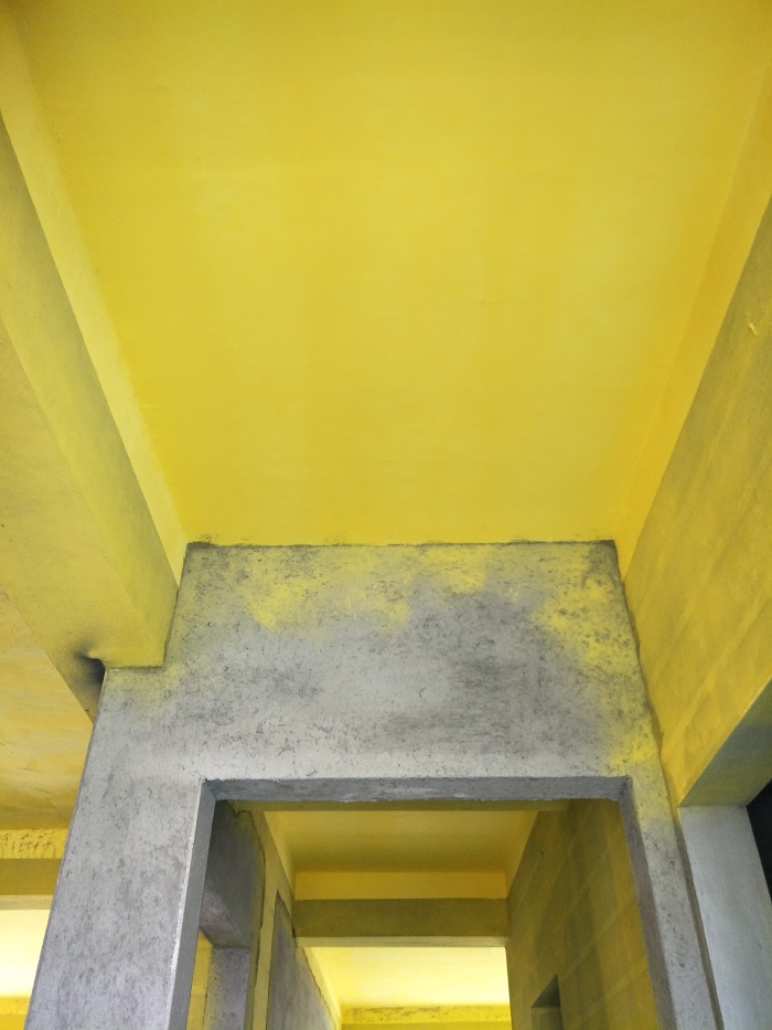 IMG20190507095641.jpg