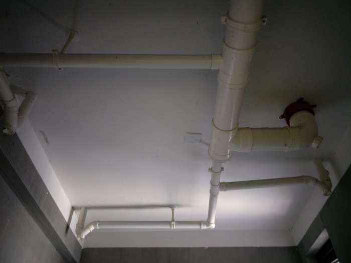 IMG20190507095756.jpg