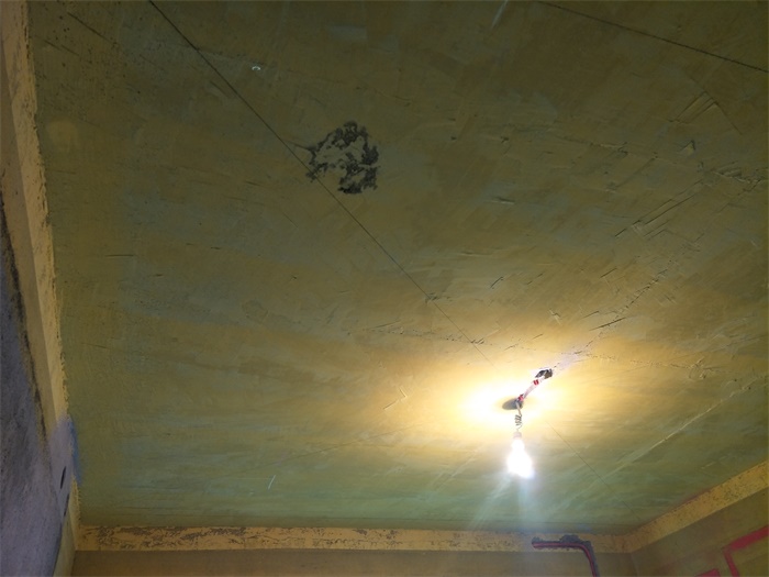 IMG20190515132502.jpg