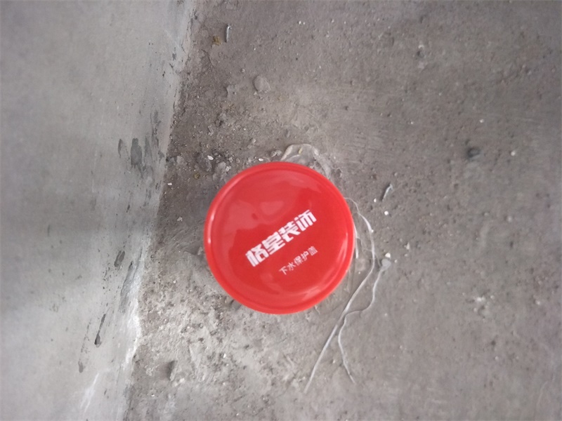 IMG20190701085051.jpg