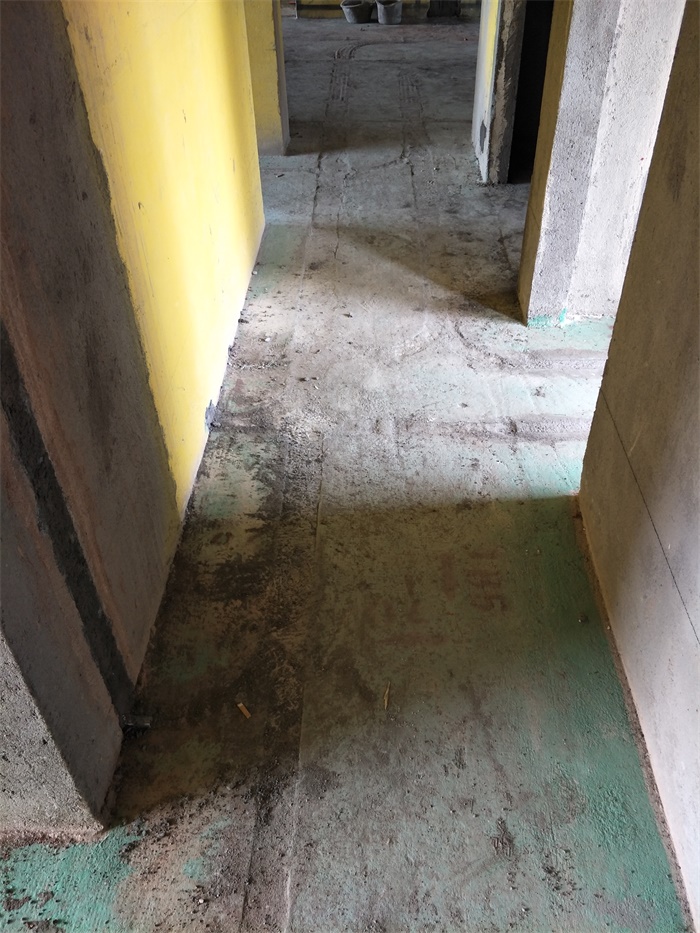 IMG20190514102334.jpg