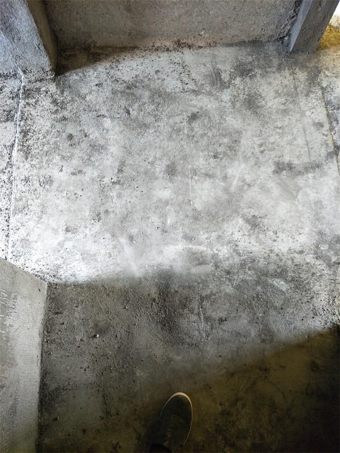 IMG20190514102415.jpg