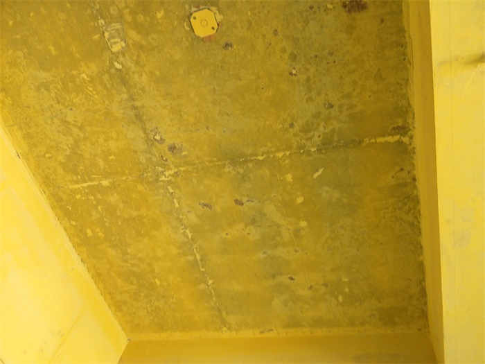IMG20190518161518.jpg